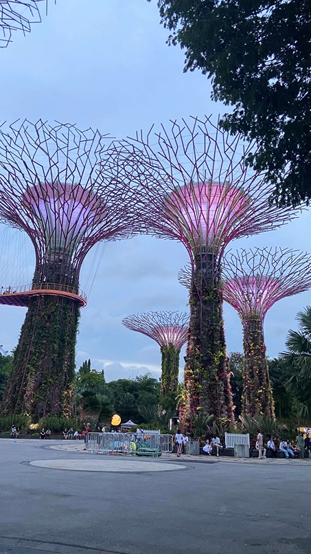 Super tree Singapour arbre du futur qui brille dans la nuit 